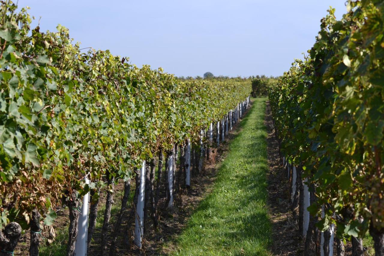 Zauber Der Pfalz Romerberg Buitenkant foto