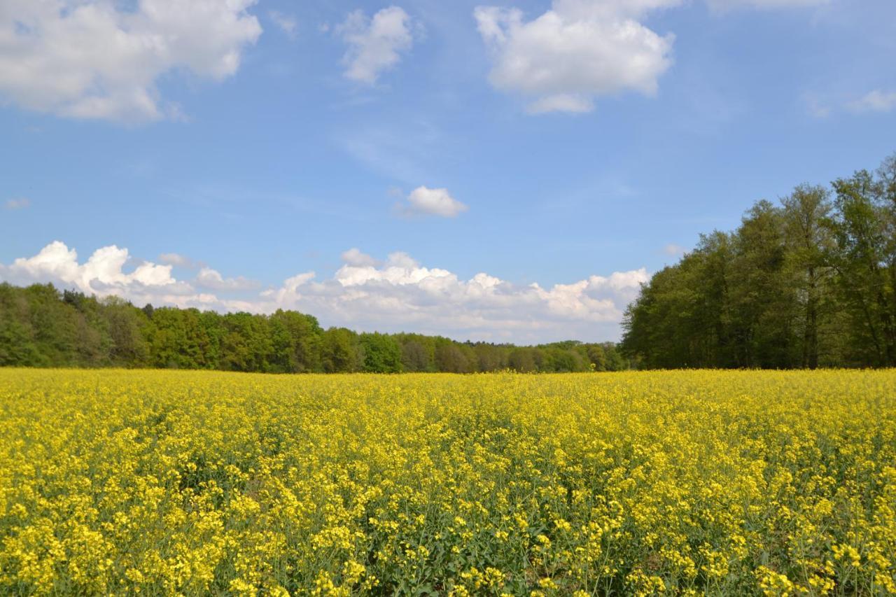 Zauber Der Pfalz Romerberg Buitenkant foto