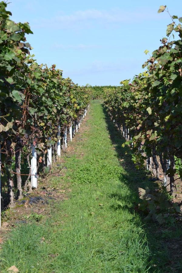 Zauber Der Pfalz Romerberg Buitenkant foto