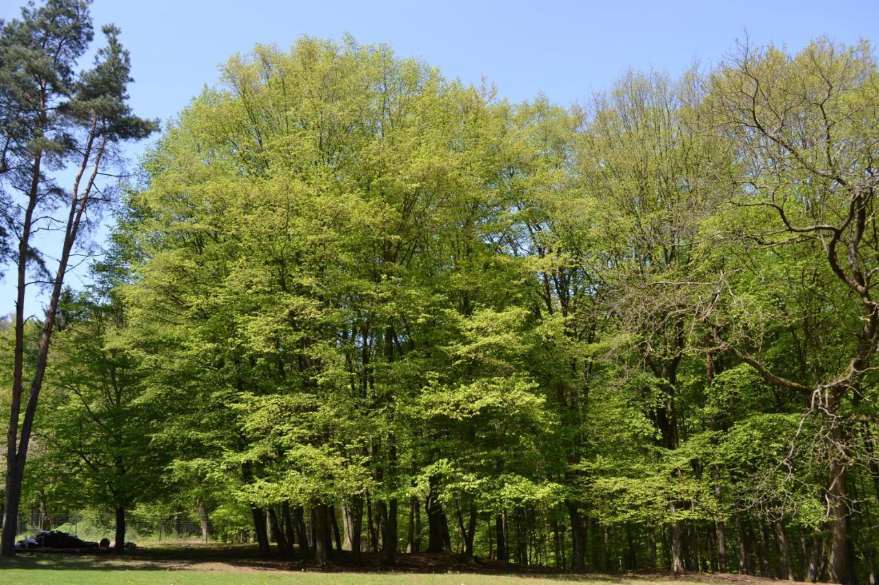 Zauber Der Pfalz Romerberg Buitenkant foto